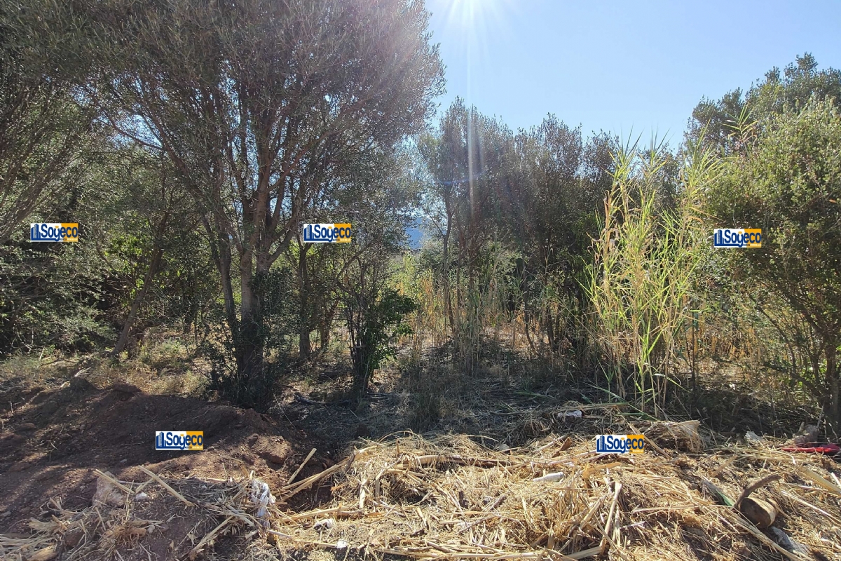 Aspra Bagheria (PA) terreno edificabile in vendita in zona territoriale omogenea
