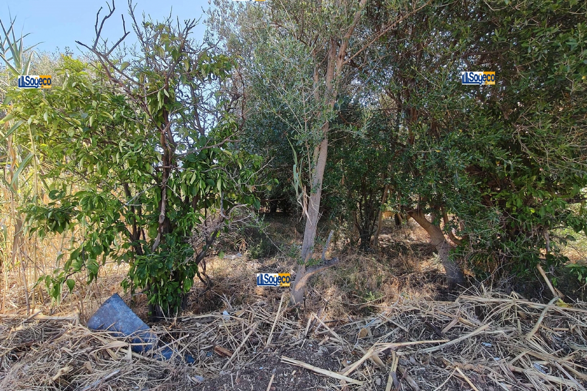 Aspra Bagheria (PA) terreno edificabile in vendita in zona territoriale omogenea