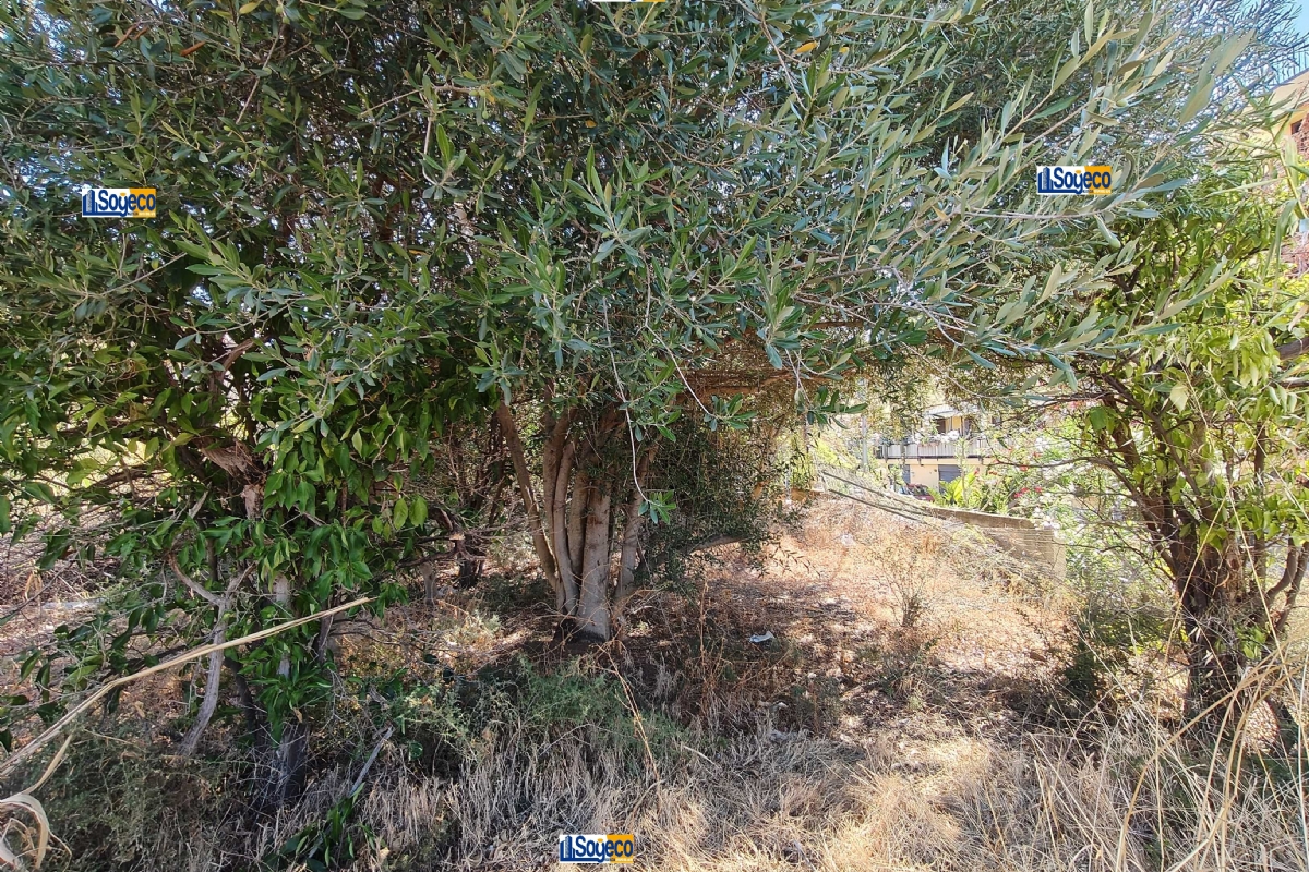 Aspra Bagheria (PA) terreno edificabile in vendita in zona territoriale omogenea