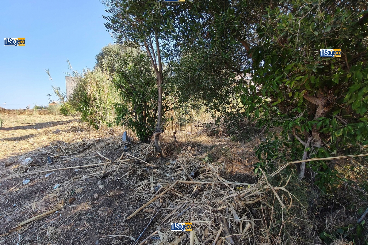 Aspra Bagheria (PA) terreno edificabile in vendita in zona territoriale omogenea