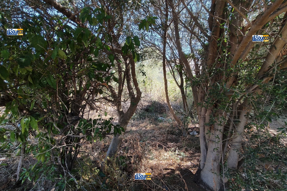Aspra Bagheria (PA) terreno edificabile in vendita in zona territoriale omogenea